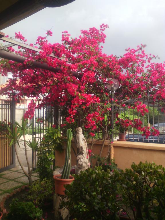 Bed & Breakfast Domus Felix Ercolano