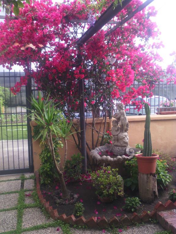 Domus Felix Bed & Breakfast Ercolano